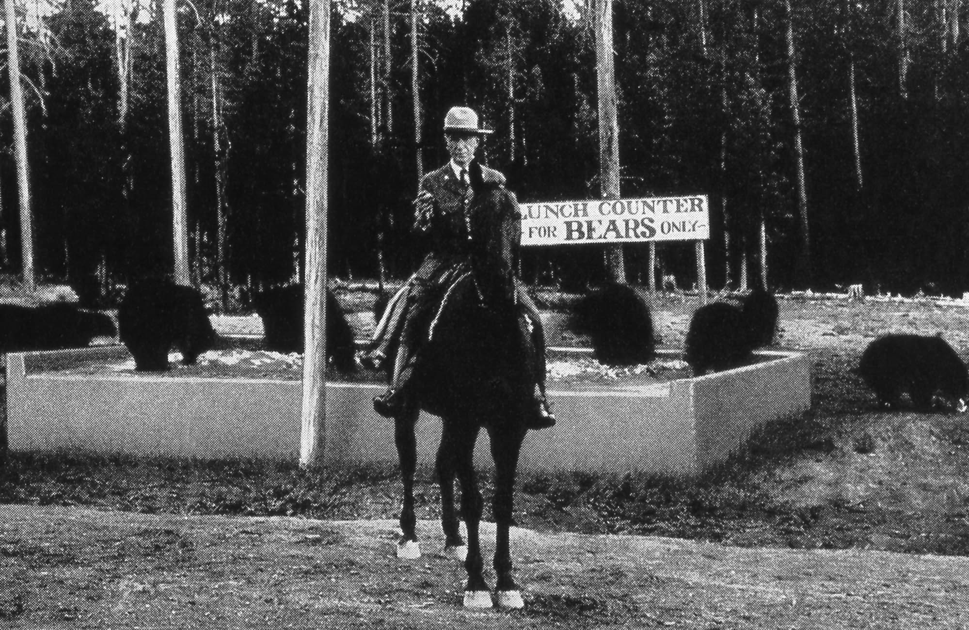 A park ranger on a horse in front of a sign that reads "Lunch Counter for Bears Only," with bears feeding in a box around it. 